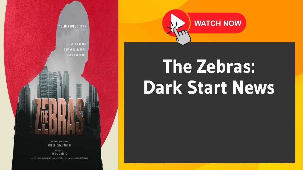 The Zebras: Dark Start